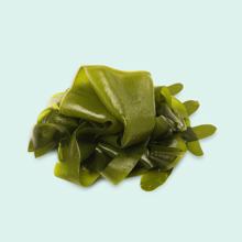 Photo of Barna-zöld alga