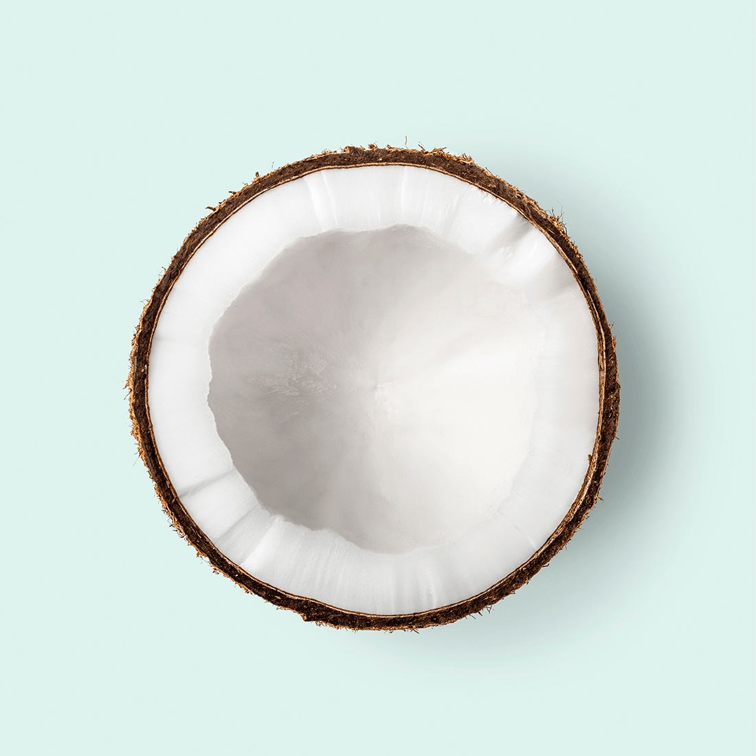 Nucă de cocos 